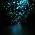 Waitomo Glowworm Caves, Waikato, New Zealand North Island. Royalty Free Stock Photo