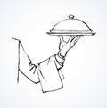 Hand of waiter with dish. Vector drawing Royalty Free Stock Photo