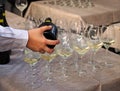 Waitress is pouring Prosecco into a lot of wine glasses during an event opening