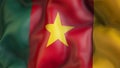 Waiving flag of Cameroon, Cameroon