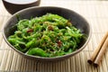 Wakame seaweed salad with sesame and chili pepper Royalty Free Stock Photo