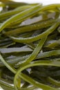 wakame seaweed Royalty Free Stock Photo