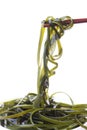 wakame seaweed Royalty Free Stock Photo