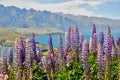 Wakatipu lake, near Queenstown, New Zealand