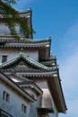 Wakayama Castle Royalty Free Stock Photo