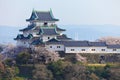 Wakayama Castle in Japan Royalty Free Stock Photo