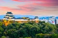 Wakayama Castle in Japan Royalty Free Stock Photo