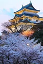 Wakayama Castle with sakura Royalty Free Stock Photo