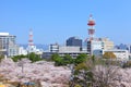 Wakayama city Royalty Free Stock Photo