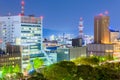 Wakayama City, Japan Cityscape Royalty Free Stock Photo