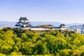 Wakayama, Japan Castle Royalty Free Stock Photo