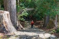 Daimonzaka slope on Kumano Kodo Nakahechi Route in Nachikatsuura, Wakayama, Japan. It is part of Royalty Free Stock Photo