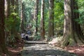 Daimonzaka slope on Kumano Kodo Nakahechi Route in Nachikatsuura, Wakayama, Japan. It is part of Royalty Free Stock Photo