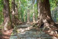 Daimonzaka slope on Kumano Kodo Nakahechi Route in Nachikatsuura, Wakayama, Japan. It is part of Royalty Free Stock Photo