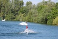 Wake-boarders and water sky at Cergy water amusement park, France Royalty Free Stock Photo