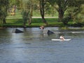 Wake-boarding Center Park With Springboard For Surfing Jumping. Water Sport Recreation and Entertainment Center