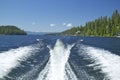 Wake from boat on Lake McCall, Idaho and Pine Trees in summer Royalty Free Stock Photo