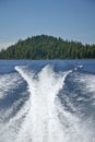 Wake from boat on Lake McCall, Idaho and Pine Trees in summer Royalty Free Stock Photo