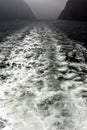 Wake of speed boat at Milford Sound Royalty Free Stock Photo