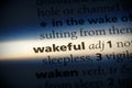 Wakeful Royalty Free Stock Photo