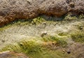 Garam Chashma,Wakhan Valley,Tajikistan:Boiling water from a hot spring. Hot spring in Wakhan Valley,Tajikistan. Texture of stones Royalty Free Stock Photo