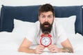 Waking up early gives more time to prepare and be timely. Hipster bearded man lay in bed with alarm clock. Time to wake Royalty Free Stock Photo