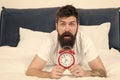 Waking up early gives more time to prepare and be timely. Hipster bearded man lay in bed with alarm clock. Time to wake Royalty Free Stock Photo