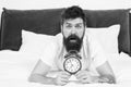 Waking up early gives more time to prepare and be timely. Hipster bearded man lay in bed with alarm clock. Time to wake Royalty Free Stock Photo