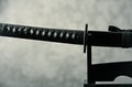 Wakizashi Sword on dark background.