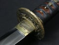 Wakizashi (tsuba/blade) Royalty Free Stock Photo