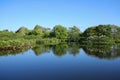 Wakodahatchee Wetlands Park Royalty Free Stock Photo