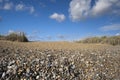 Walberswick Beach, Suffolk, England