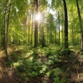 Wald panorama, digital illustration artwork, nature, landscapes