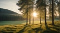 Wald Panorama mit Sonnenstrahlen Royalty Free Stock Photo