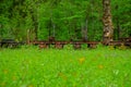 Waldbahn Reichraming, old museum narrow gauge railway close to Reichraming, Austria. Visible trucks or wagons for wood Royalty Free Stock Photo