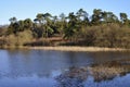 Waldegrave Pool & Pine Forest