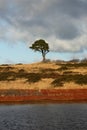 Waldegrave pool, Somerset Royalty Free Stock Photo