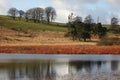 Waldegrave pool, Somerset Royalty Free Stock Photo