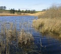 Waldegrave Pool Royalty Free Stock Photo