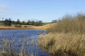 Waldegrave Pool Royalty Free Stock Photo