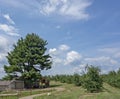 Angry Orchard Tasting Treehouse