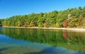 The Walden Pond. Royalty Free Stock Photo