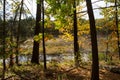 Walden Pond forest Royalty Free Stock Photo