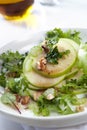 Waldorf Salad Royalty Free Stock Photo