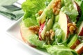 Waldorf Salad Royalty Free Stock Photo