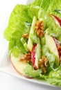 Waldorf Salad Royalty Free Stock Photo