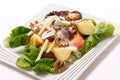 Waldorf salad over white at an angle Royalty Free Stock Photo