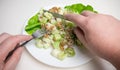 Waldorf Salad on a white plate Royalty Free Stock Photo