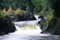 River Teifi, Llandysul Royalty Free Stock Photo