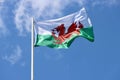 Welsh flag in wind